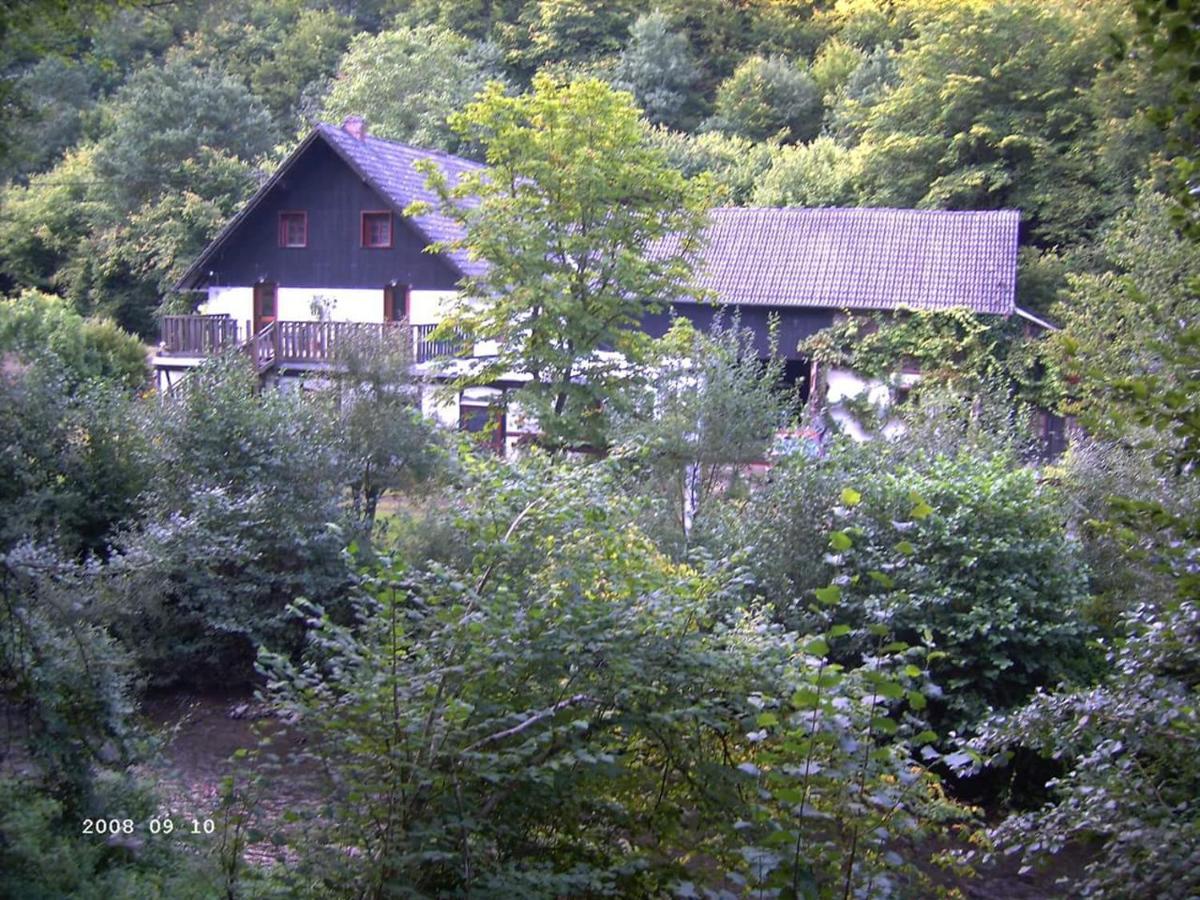 Neumuehle Ferienwohnung 2 Lutzerath Exteriér fotografie
